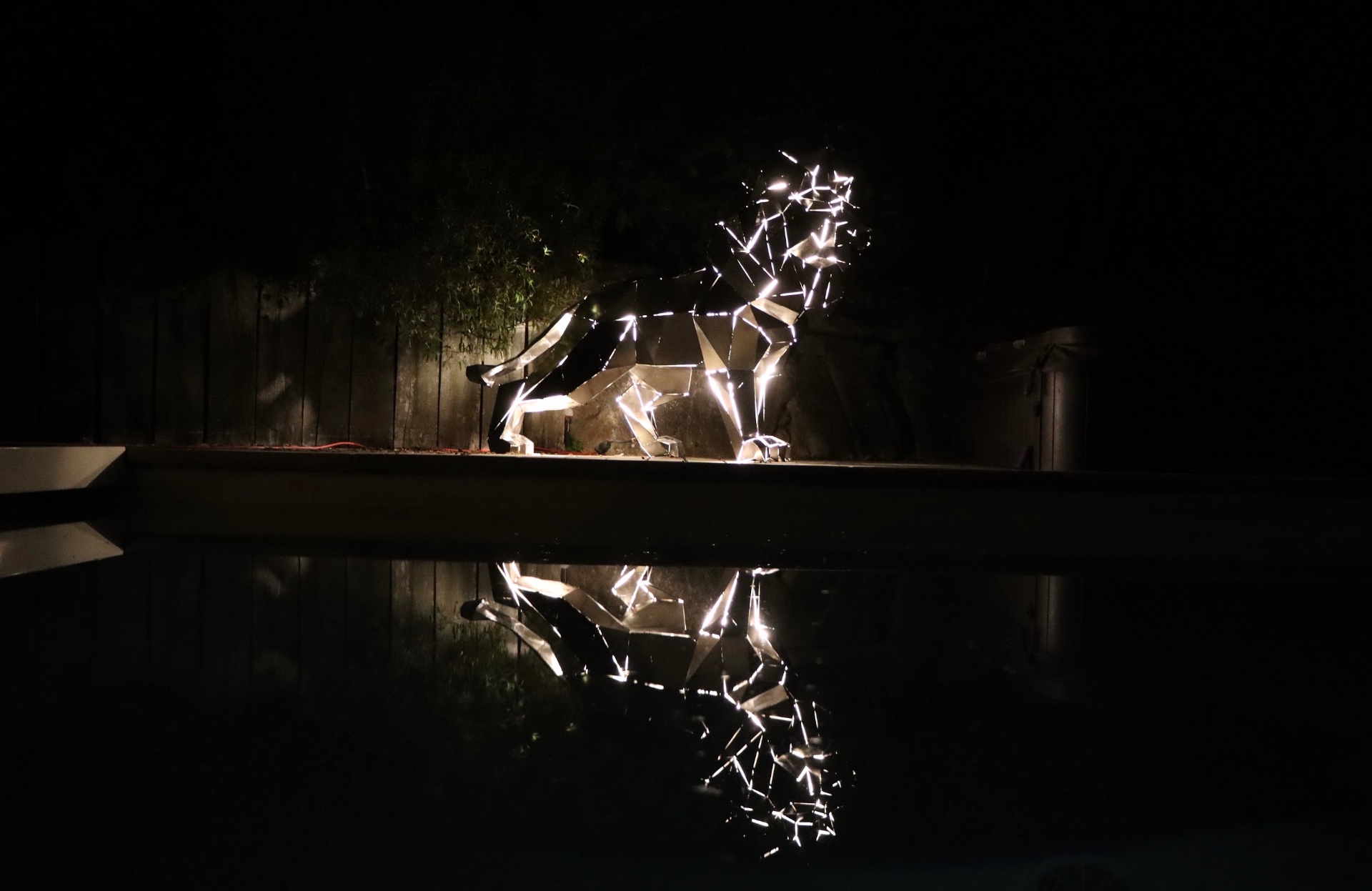Lion en inox illuminé la nuit, reflet sur la piscine